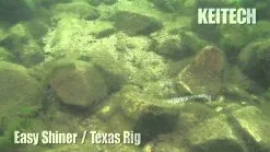 Keitech Easy Shiner Swimbaits 8 Keitech Easy Shiner Swimbaits -Cheap Baits Store image 115