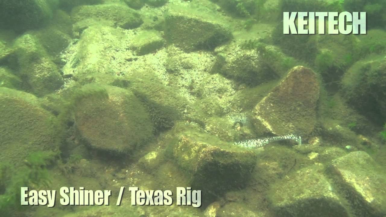 Keitech Easy Shiner Swimbaits 4 Keitech Easy Shiner Swimbaits - Image 4