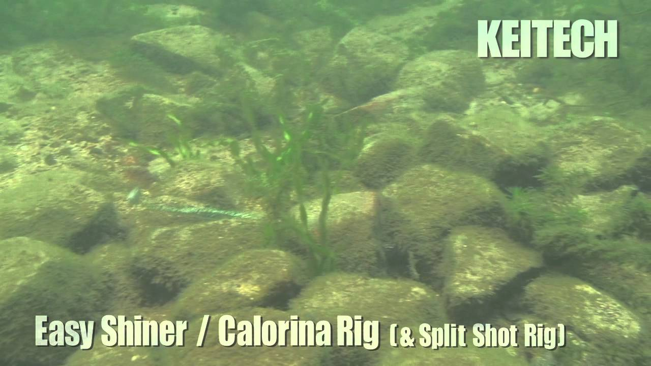 Keitech Easy Shiner Swimbaits 5 Keitech Easy Shiner Swimbaits - Image 5