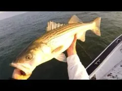 Tsunami Trophy Slow Pitch Jigging Casting Rods -Cheap Baits Store image 1311