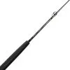 Jigging Casting Rods Accurate Valiant Casting Rods