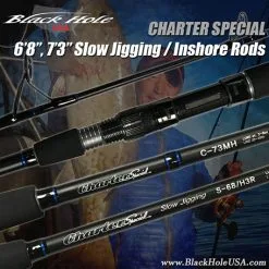 Jigging Casting Rods Black Hole USA Charter Special Conventional Rods -Cheap Baits Store image 1361
