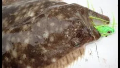 Tsunami Slimwave Casting Rods -Cheap Baits Store image 1375