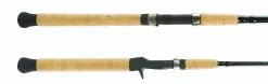 Shimano Teramar Southeast Inshore Spinning Rods