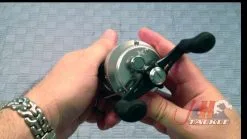 Shimano Calcutta D Baitcasting Reels -Cheap Baits Store image 1773