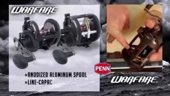 Conventional Reels Penn Warfare Star Drag Reels -Cheap Baits Store image 1852