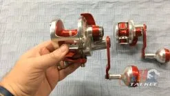 Conventional Reels Accurate Boss Valiant BV-400 Single-Speed Lever Drag Reels -Cheap Baits Store image 2022