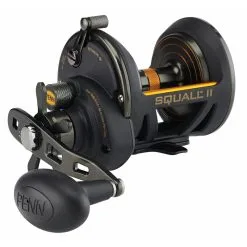 Conventional Reels Penn Squall II Star Drag Reels
