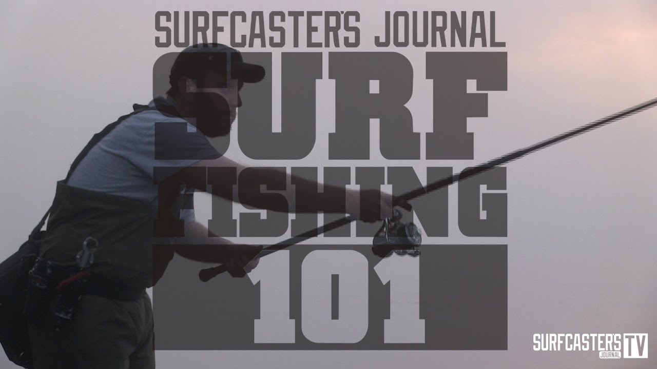 Daiwa Zillion SV TW Baitcasting Reels 1 Daiwa Zillion SV TW Baitcasting Reels