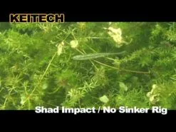 Soft Plastics Keitech Shad Impact -Cheap Baits Store image 520