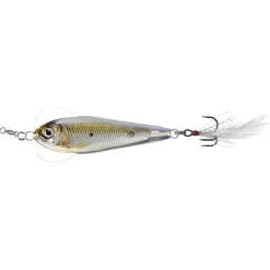 Frogs LIVETARGET Flutter Sardine