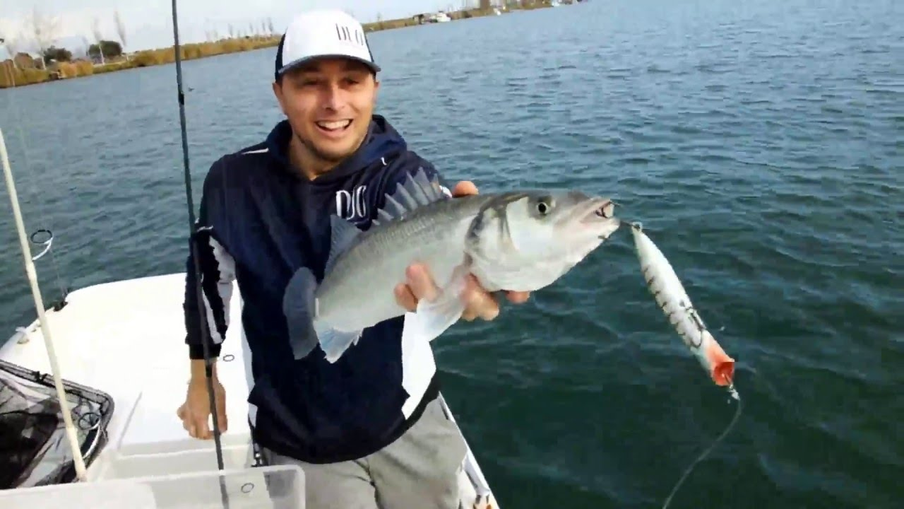 Hard Baits Duo Realis Pencil Popper 148SW Limited 2 Hard Baits Duo Realis Pencil Popper 148SW Limited - Image 2