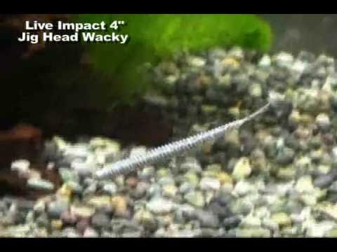 Jigs And Spoons Keitech Tungsten Super Round Jig Heads 3 Jigs And Spoons Keitech Tungsten Super Round Jig Heads - Image 3