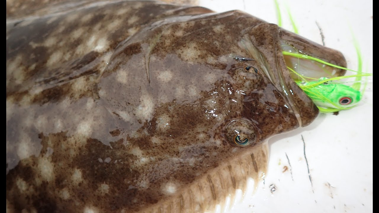 Jigs And Spoons S&S Bucktails John Skinner Fluke Bucktails 2 Jigs And Spoons S&S Bucktails John Skinner Fluke Bucktails - Image 2