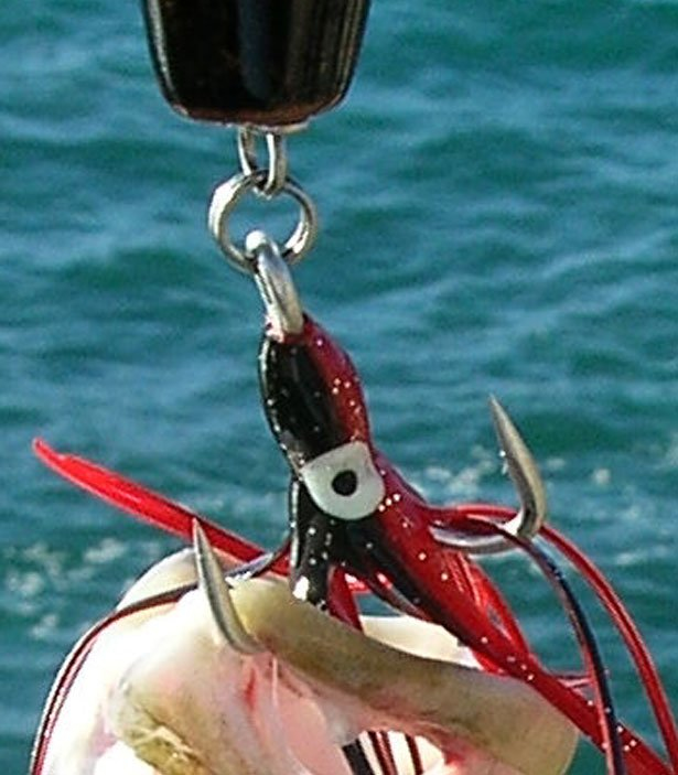 Wolverine Split Rings 1 Wolverine Split Rings